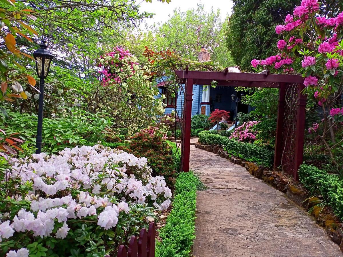 Kubba Roonga Guesthouse - Boutique Luxury Spa Retreat & Gardens - Blue Mountains Блекгіт Екстер'єр фото