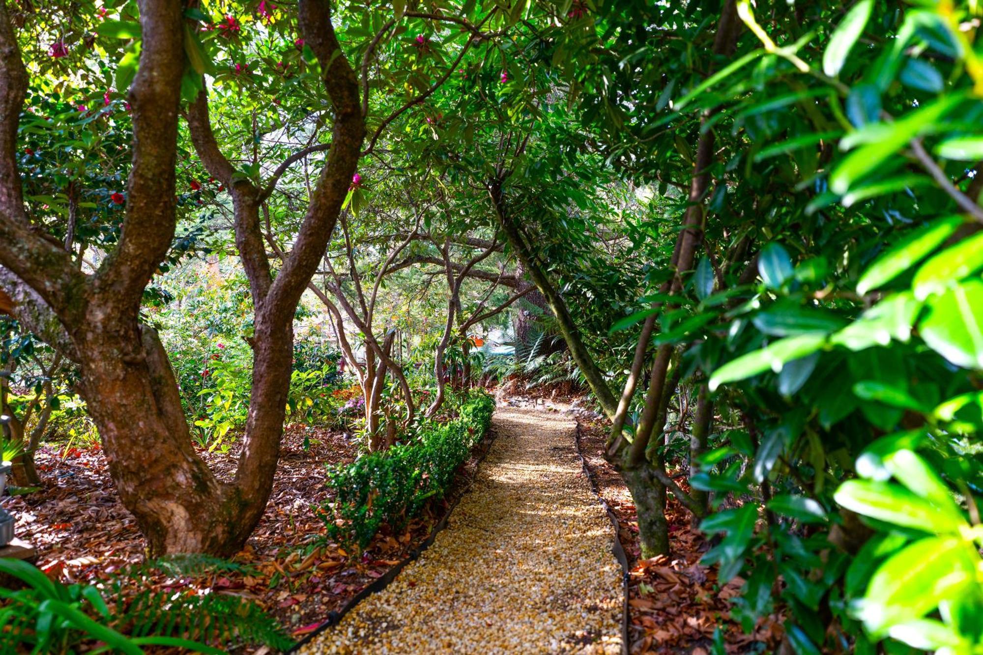 Kubba Roonga Guesthouse - Boutique Luxury Spa Retreat & Gardens - Blue Mountains Блекгіт Екстер'єр фото