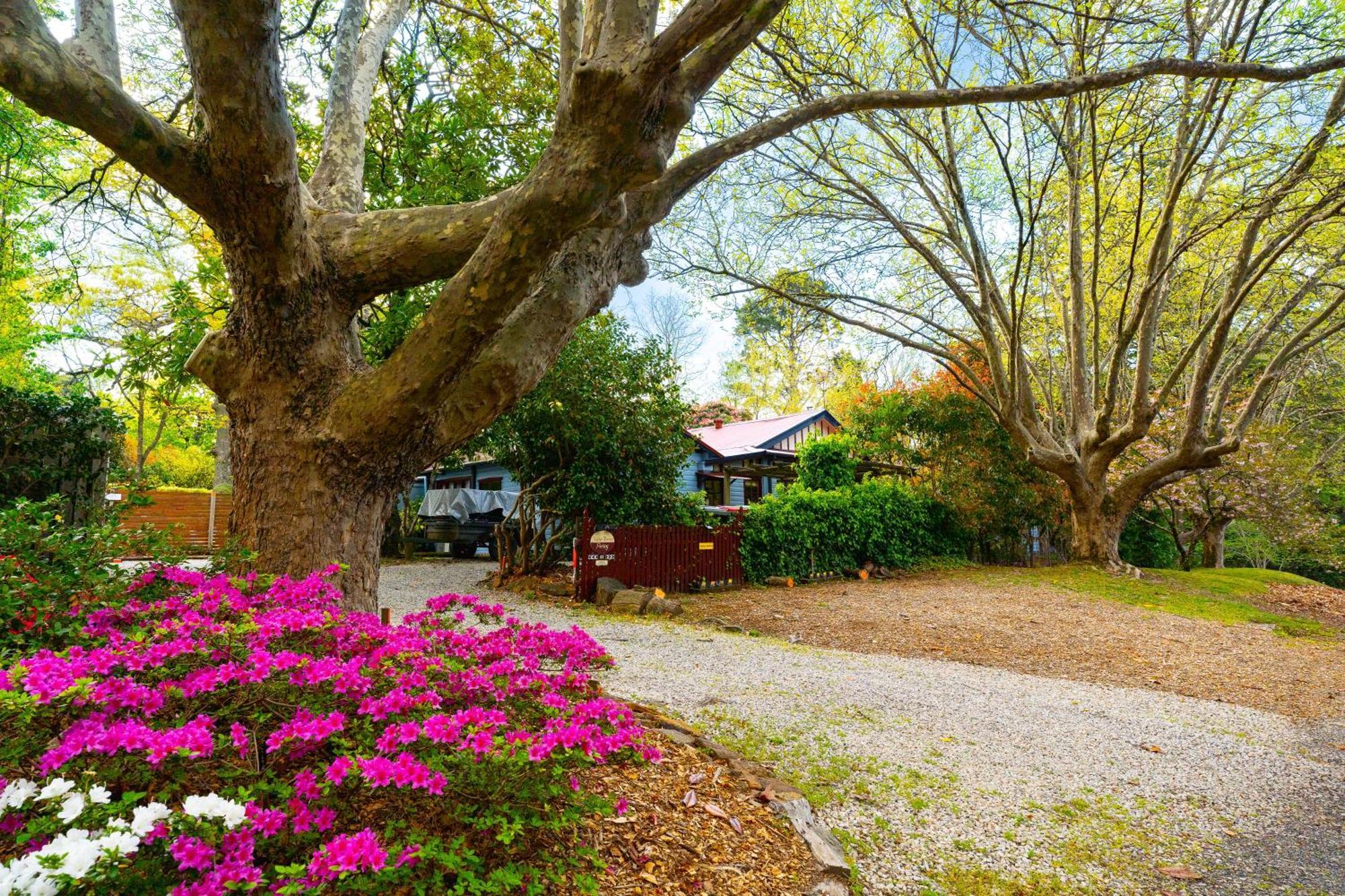 Kubba Roonga Guesthouse - Boutique Luxury Spa Retreat & Gardens - Blue Mountains Блекгіт Екстер'єр фото