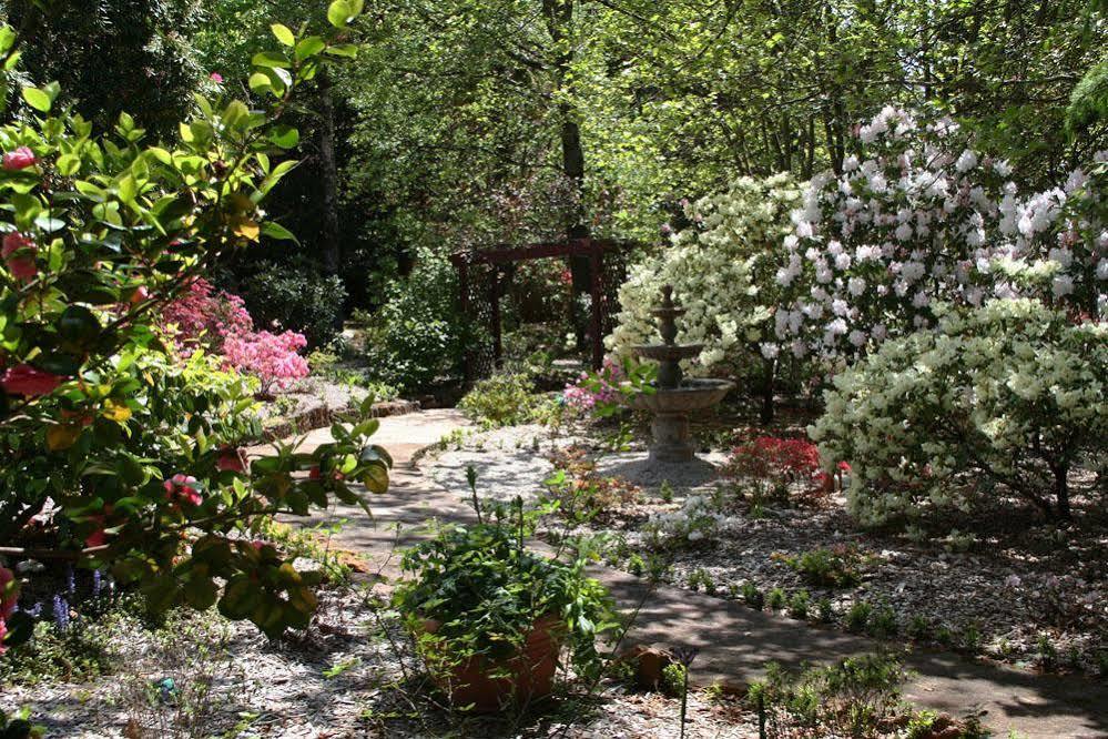Kubba Roonga Guesthouse - Boutique Luxury Spa Retreat & Gardens - Blue Mountains Блекгіт Екстер'єр фото